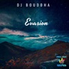 Evasion - Single