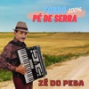 Forró 100% Pé de Serra