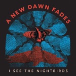 I See the Nightbirds (Deluxe Reissue)