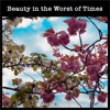 Beauty in the Worst of Times - Single