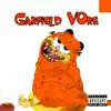 Garfield Vore - Single (feat. Lil Tout & Mike aspenhouse Jurney) - Single album lyrics, reviews, download