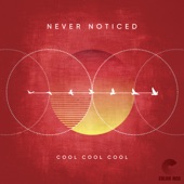 Never Noticed - Single