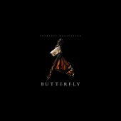 Butterfly artwork