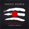 Tandava (Remix) - Single album lyrics, reviews, download