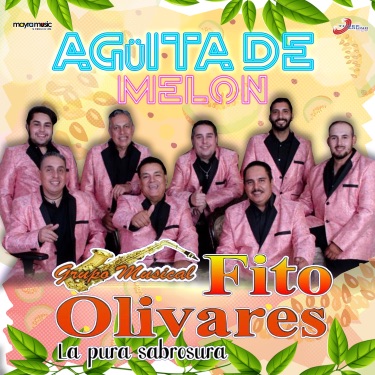 Cocodrilo - Grupo Musical Fito Olivares La Pura Sabrosura | Shazam