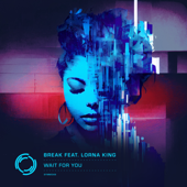 Wait for You (feat. Lorna King) - Break