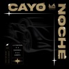 Cayó La Noche - Single