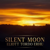 Silent Moon artwork