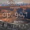 Schubert: Impromptu in C Minor, Op. 90, No. 1 artwork