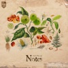 Notes - EP