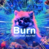 Burn (Techno) - Single