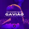 Gavião (feat. Marcos Myller & DJ Jhonatan) - Single album lyrics, reviews, download