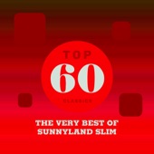 Sunnyland Slim - I Done You Wrong