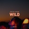 Wild (Extended) artwork