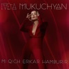 Mi Qich Erkar Hamburir - Single