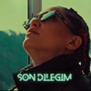 Son Dileğim - Single