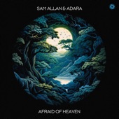 Afraid of Heaven (Extended Mix) artwork