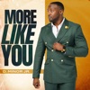 More Like You - Single, 2023