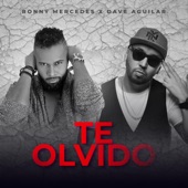 Te Olvido artwork