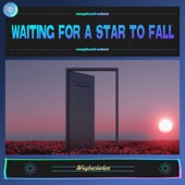 Waiting For A Star To Fall (feat. 2icons) artwork