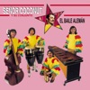 Señor Coconut - Showroom Dummies (Cover)