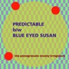Predictable b/W Blue Eyed Susan - Single, 2024