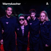 Warmduscher - 8 Minute Machine (Audiotree Live Version)