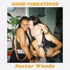 Good Vibrations - Single