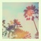 TROPICS (feat. Grandace) - Devin Burgess lyrics