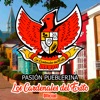 Los Cardenales del Exito Oficial - Pasión Pueblerina
