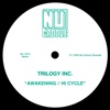 Awakening / Hi Cycle - Single