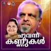 Chuvanna Kannukal (Original Motion Picture Soundtrack) - Single