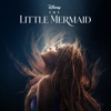 Part of Your World (From "The Little Mermaid") - Single