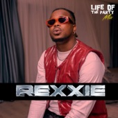 Life of The Party Mix: Rexxie, Big Vibe Vol. II (DJ Mix) artwork