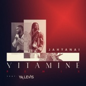 Vitamine (feat. Ya Levis) [Remix] artwork