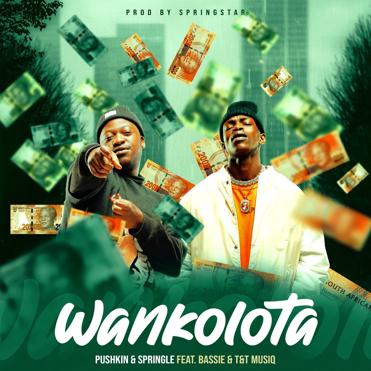 ‎Wankolota (feat. Bassie & T&T Muziq) - Single By Pushkin & Springle On ...