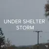 !!!" Under Shelter Storm "!!! album lyrics, reviews, download