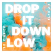 Drop It Down Low artwork