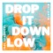 Drop It Down Low artwork
