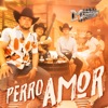 Perro Amor - Single