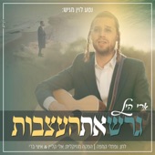 גרש את העצבות (Garesh Et Ha'Attsvut) artwork