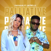 Palliative (feat. Jaywillz) artwork