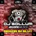 Benzin im Blut (feat. Akustikrausch) [Pulsedriver Remix] song reviews