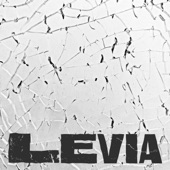 Levia (feat. 鳳小岳) artwork