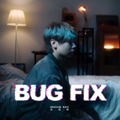 Bug Fix artwork