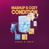 Mashup & Cozy Condition - Vodka & Tonic