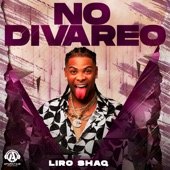 No Divareo artwork