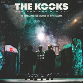 10 Tracks to Echo in the Dark cover