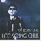 Avoid - Lee Seung Chul lyrics