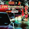 I'm Coming Down (feat. J.B.) - Single album lyrics, reviews, download